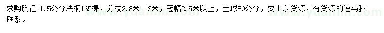 求購胸徑11.5公分法桐