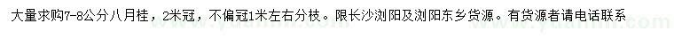 求購7-8公分八月桂