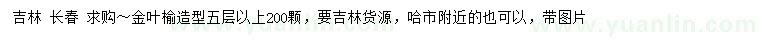 求購五層以上金葉榆造型