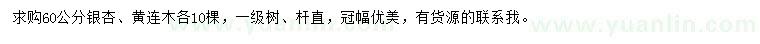 求購(gòu)60公分銀杏、黃連木