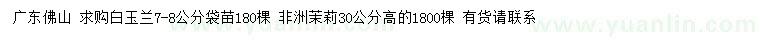 求購7-8公分白玉蘭、高30公分非洲茉莉