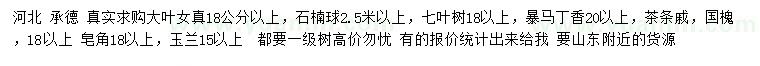 求購(gòu)大葉女貞、石楠球、七葉樹(shù)等