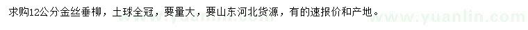 求購12公分金絲垂柳