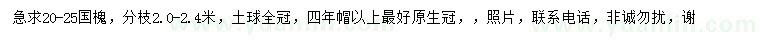 求購20-25公分國槐