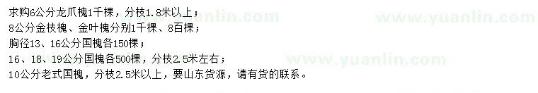 求購龍爪槐、金枝槐、金葉槐等