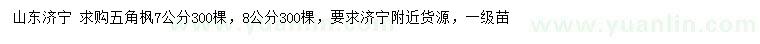 求購7、8公分五角楓