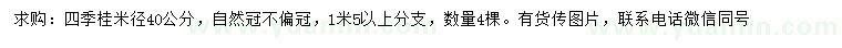 求購(gòu)米徑40公分四季桂