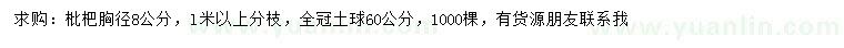 求購胸徑8公分枇杷