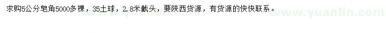 求購5公分皂角