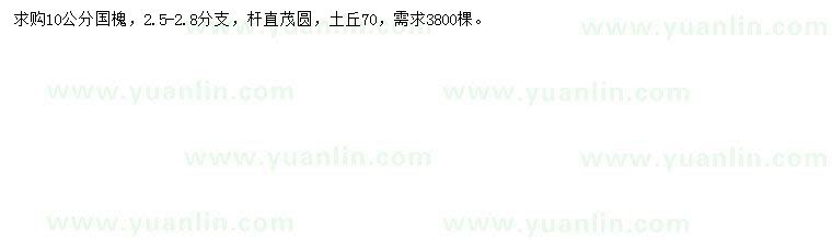 求購10公分國槐