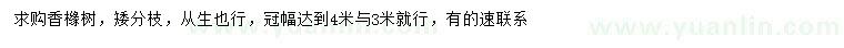 求購冠幅3、4米香櫞