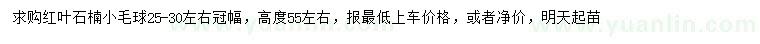 求購冠幅25-30公分左右紅葉石楠小毛球