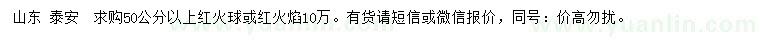 求購50公分以上紅火球、紅火焰
