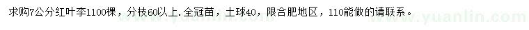 求購7公分紅葉李