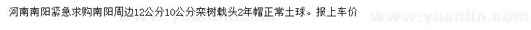 求購(gòu)10、12公分欒樹(shù)