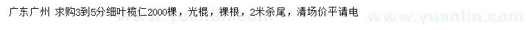 求購(gòu)3-5公分細(xì)葉欖仁