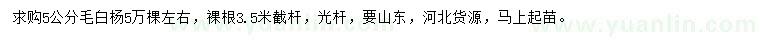 求購5公分毛白楊