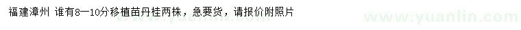 求購8-10公分丹桂移植苗