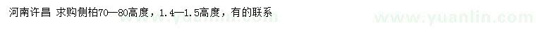 求購高70-80公分側(cè)柏