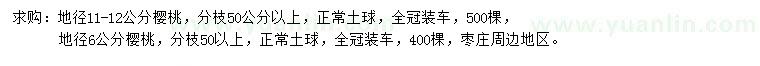 求購地徑6、11-12公分櫻桃