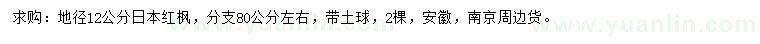 求購地徑12公分日本紅楓