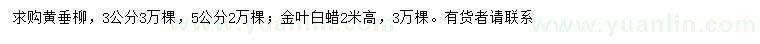 求購(gòu)3、5公分黃垂柳、高2米金葉白蠟