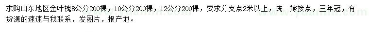 求購(gòu)8、10、12公分金葉槐