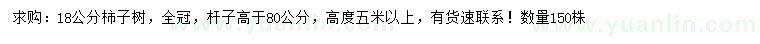 求購(gòu)18公分柿子樹