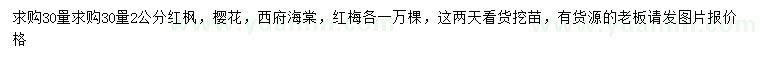 求購紅楓、櫻花、西府海棠等