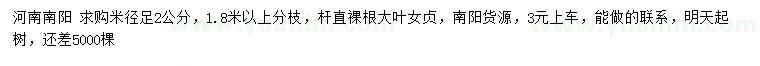 求購米徑足2公分大葉女貞