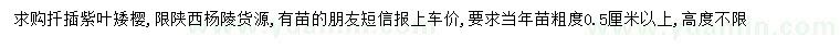 求購粗0.5公分以上紫葉矮櫻