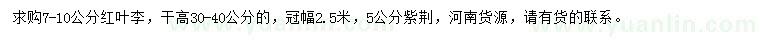 求購7-10公分紅葉李、5公分紫荊