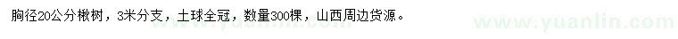 求購胸徑20公分楸樹