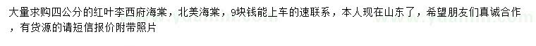 求購紅葉李、西府海棠、北美海棠