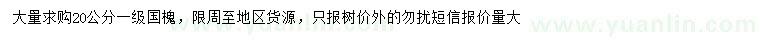 求購(gòu)20公分國(guó)槐