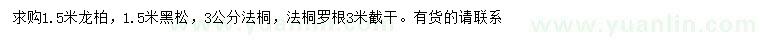 求購龍柏、黑松、法桐