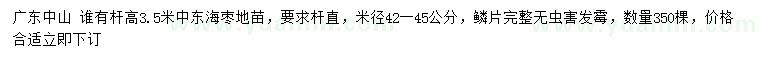 求購桿高3.5米中東海棗地苗