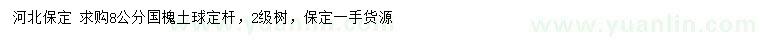 求購8公分國槐