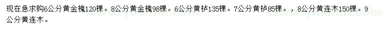 求購黃金槐、黃櫨、黃連木