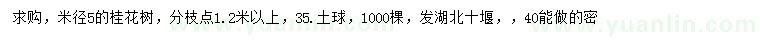 求購米徑5公分桂花樹