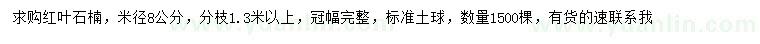 求購米徑8公分紅葉石楠