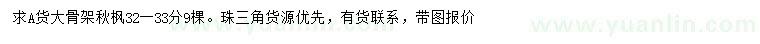 求購32-33公分骨架秋楓