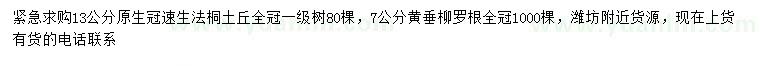求購13公分速生法桐、7公分黃垂柳
