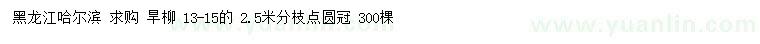 求購13-15公分旱柳