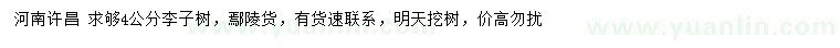 求購4公分李子樹