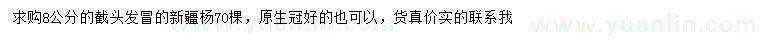 求購8公分新疆楊