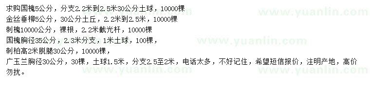 求購國槐、金絲垂柳、刺槐等