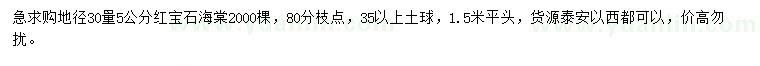 求購地徑30量5公分紅寶石海棠