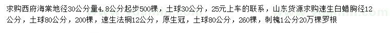 求購(gòu)西府海棠、速生白蠟、速生法桐等