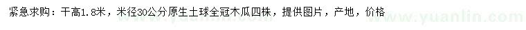求購米徑30公分木瓜